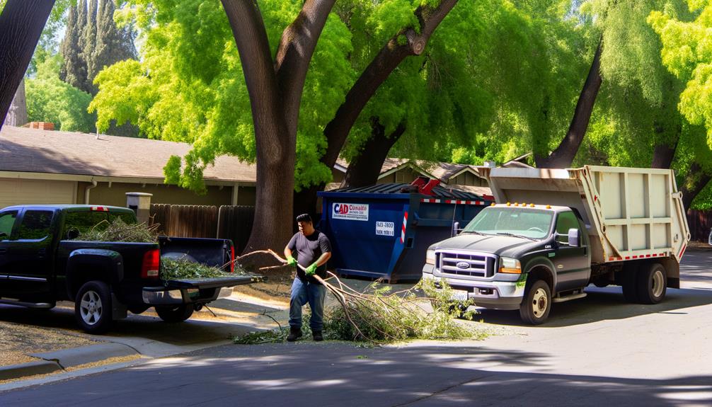 affordable debris removal sacramento